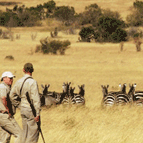 Lunch in the Mara