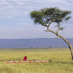 Lunch in the Mara