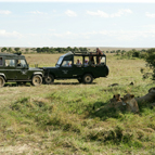 Game Drives