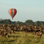 Game Viewing from air