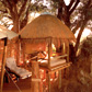 Lodge Safari Packages in Africa