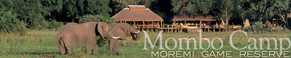 Mombo Camp, Okavango Delta