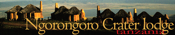 Ngorongoro Crater Lodge