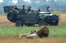 On Safari in Africa jpg