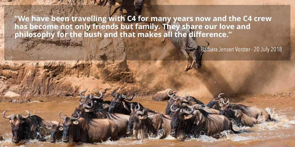 Oryx Photographic Safaris and Vacations