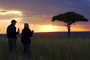 Walking Safari - Gamewatchers Safaris