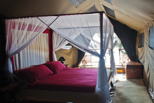 Jenman Safaris Safaris