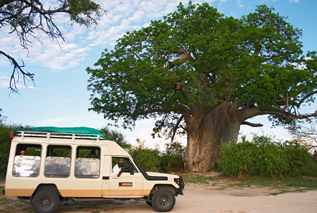 Jenman Safaris Safaris