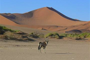 Visit the Himba Tribe with Karibu Safari