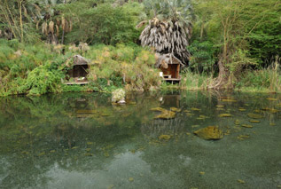 Maasai Wanderings Safaris