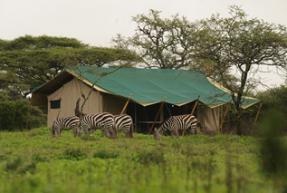 Maasai Wanderings Safaris