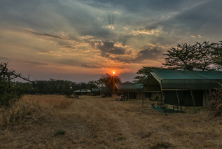 Porini Mara Safari Camp