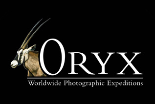 Contact Oryx Photographic Expeditions