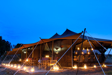 Porini Lion Camp