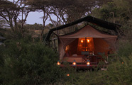 Porini Mara Safari Camp