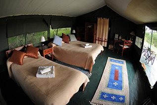 Porini Rhino Camp, Kenya