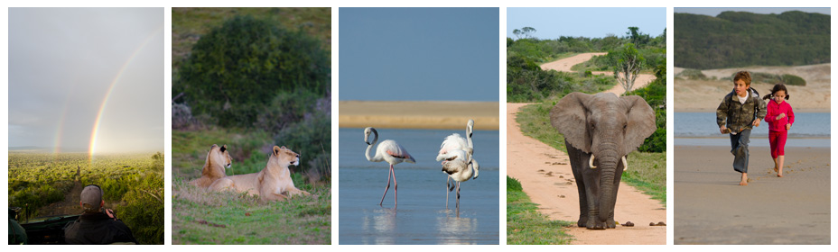 Greater Addo Family Self Drive Route, South Africa