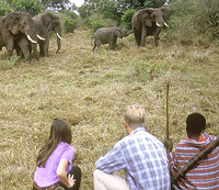 Walk on the Wild Side Walking Safari Tanzania