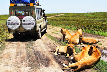 Worldwide Safaris Tanzania - African Holidays