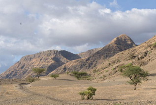 Jenman Safaris Safaris