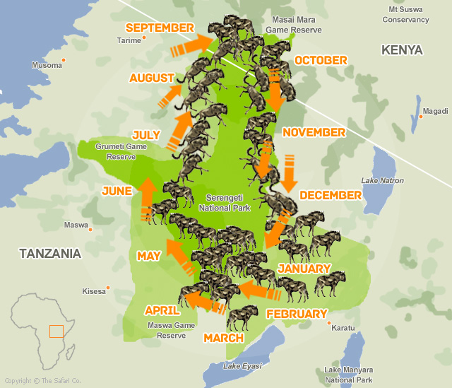 The Great Wildebeest Migration Map