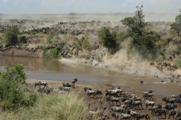 Crossing the Mara River