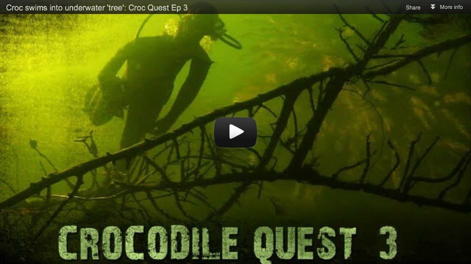 Crocodile Quest Episode 3