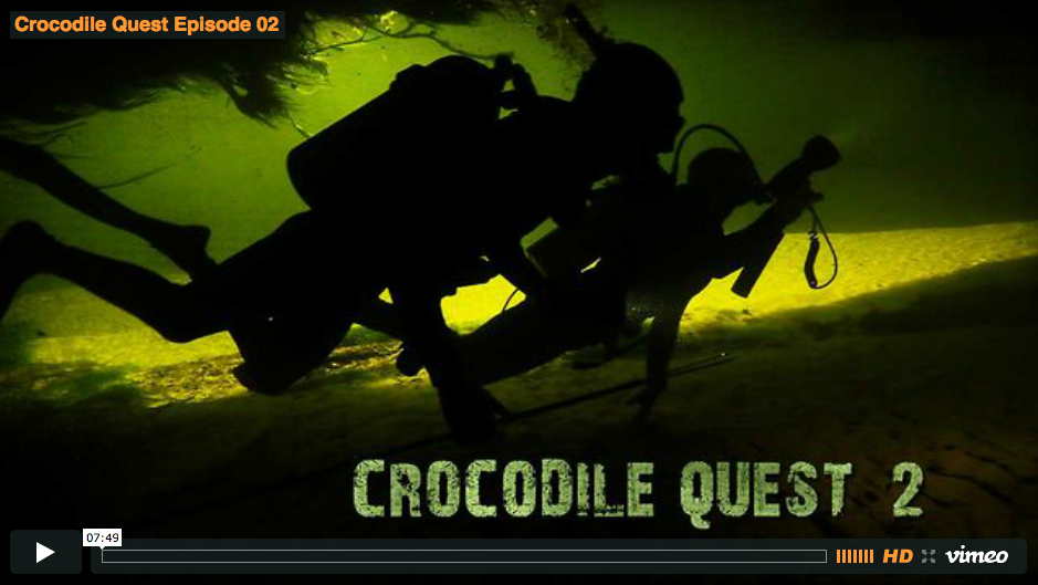 Crocodile Quest Episode 2