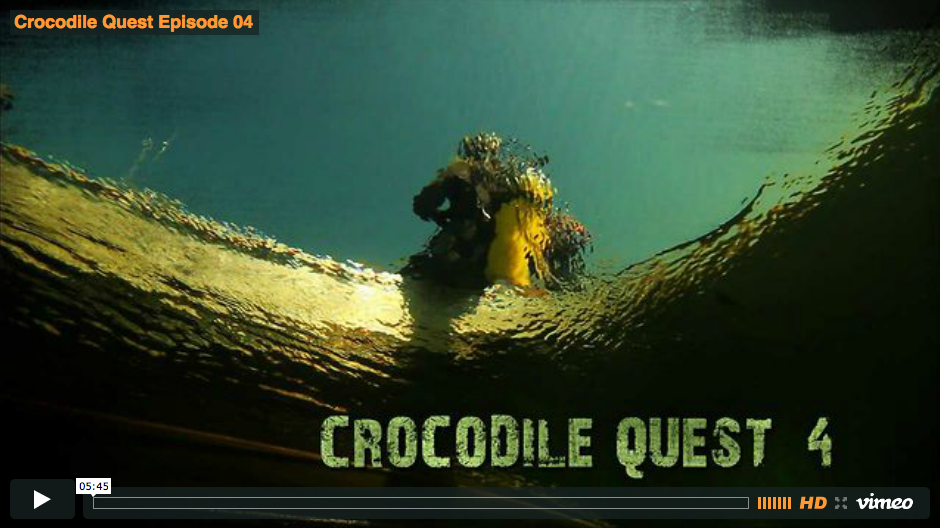 Crocodile Quest Episode 4