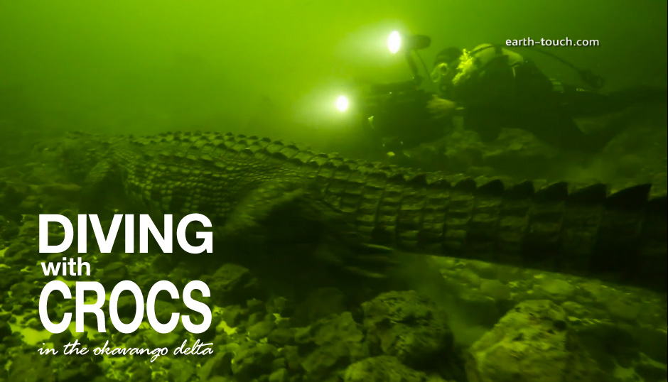 Crocodile Quest Episode 1 – Diving With Crocs