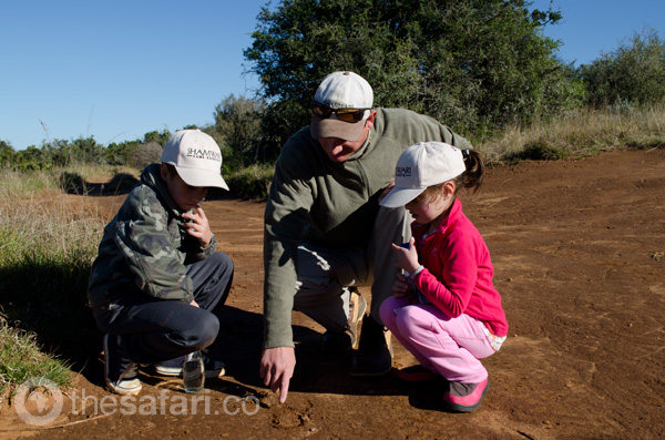 Child-friendly safari at Shamwari