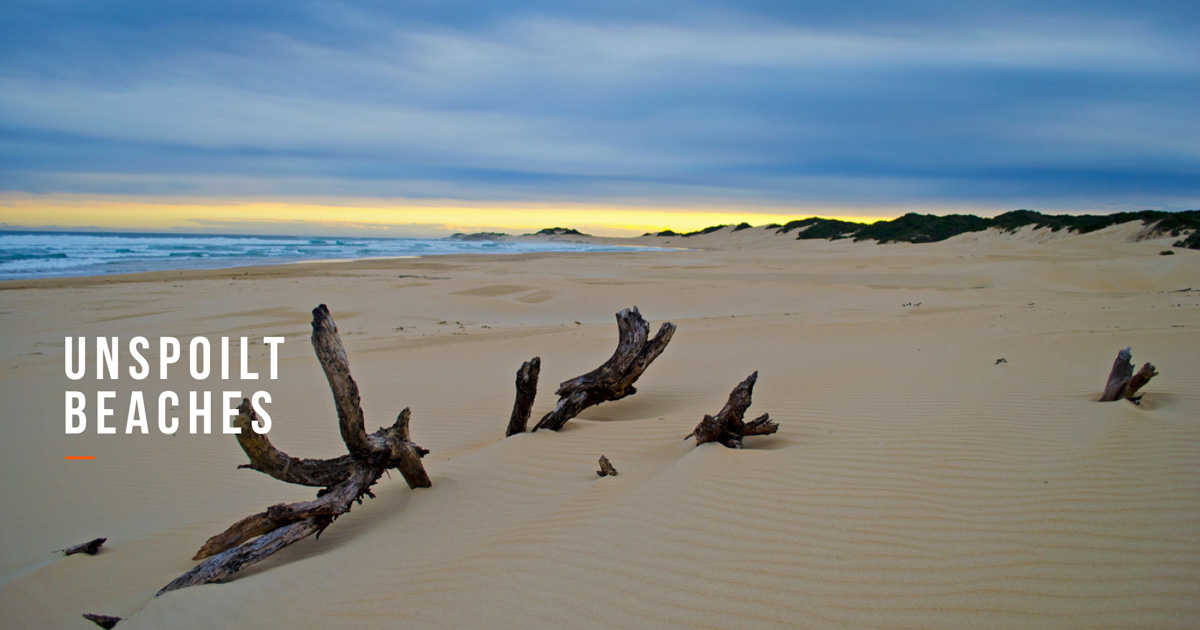 kenton beaches